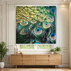 Peacock Feather Close Up Printed Roller Blind for Luxury Interiors